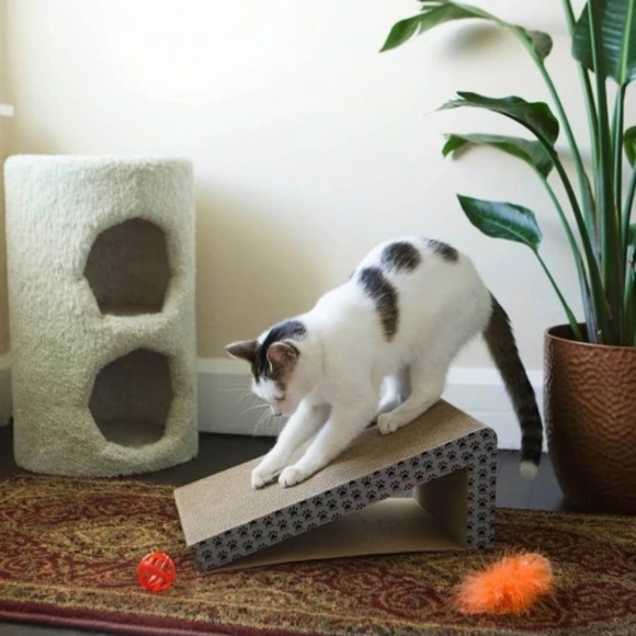 Cat Scratch Ramps, Set of 2 - Picture 5 of 9